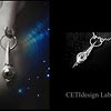 CETI-X