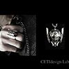 CETI-X