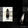 CETI-X