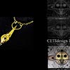 CETI-X