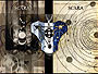 『Last Waltz by shiosai』 渋谷・表参道